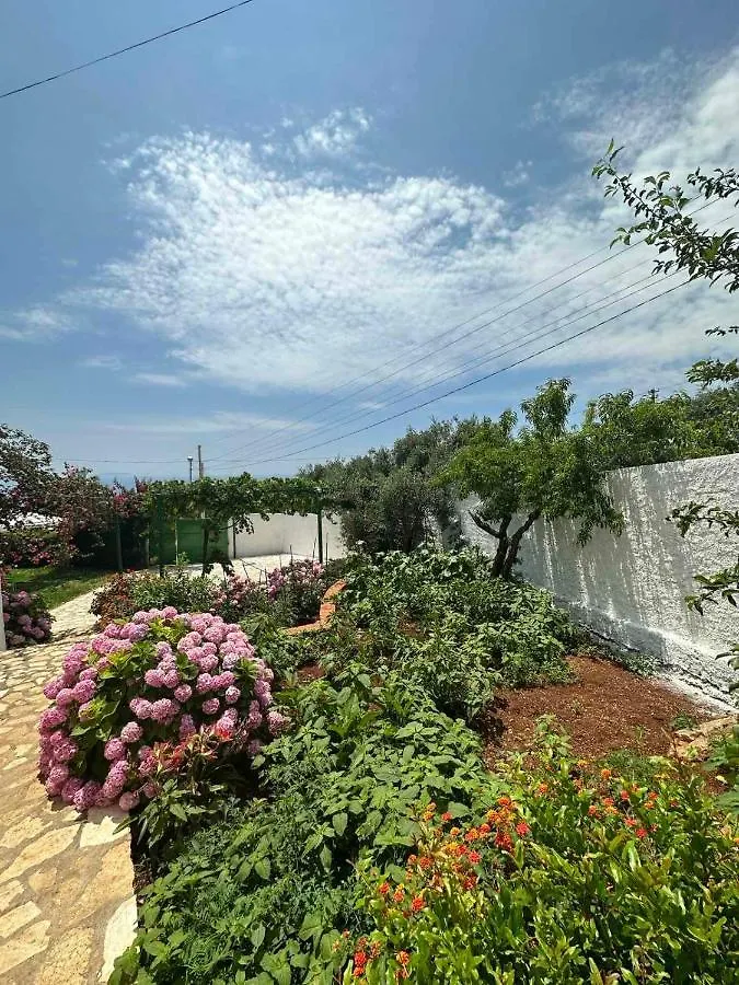 Hotel Xheko Rooms Dhermi